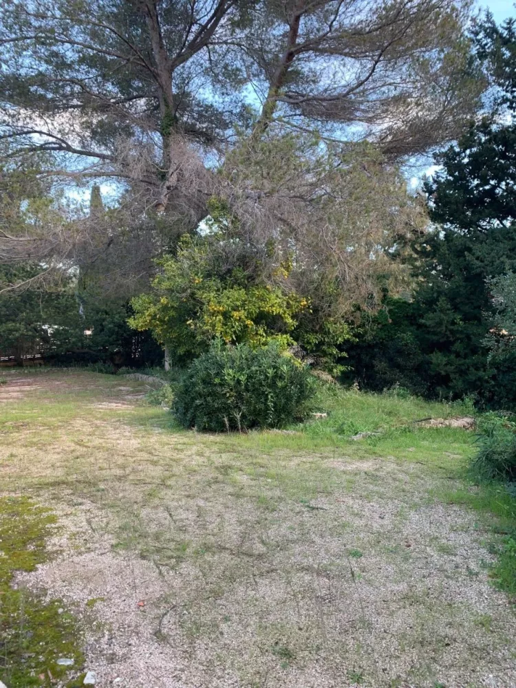 Image du modèle de maison 3