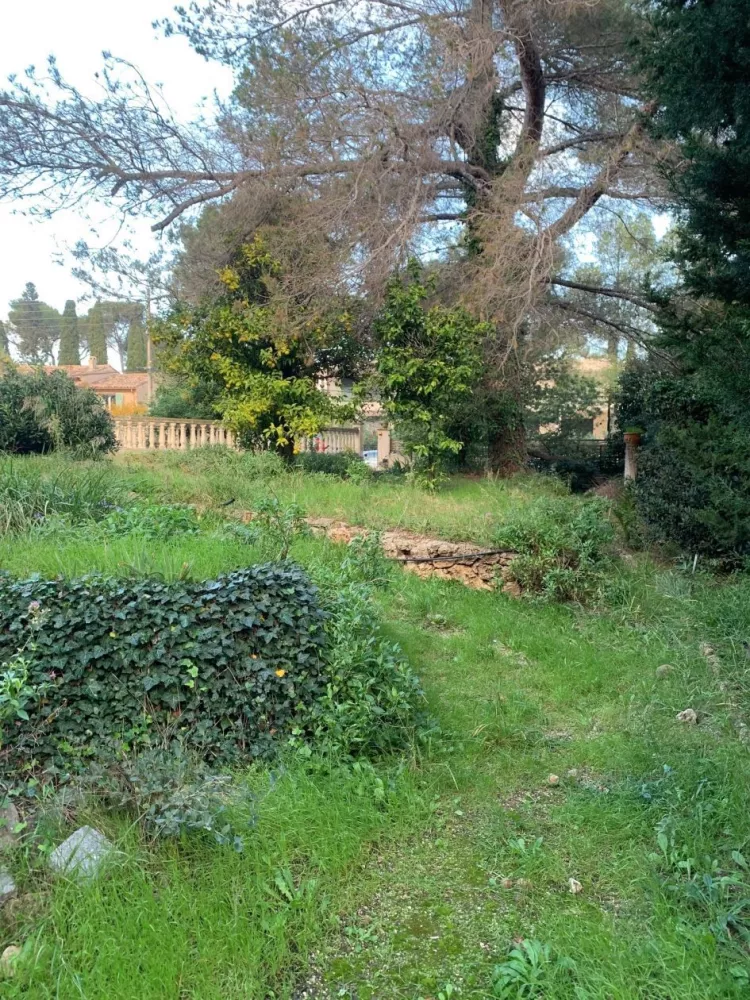 Image du modèle de maison 5