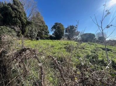 Image du modèle de maison Cannes la Bocca 2025 18