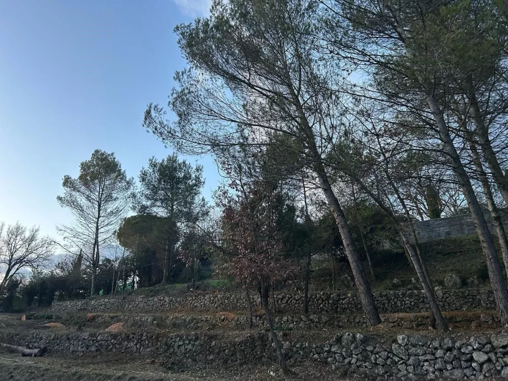 Image du modèle de maison Vue terrain plascassier défriché 14 février 2025 bis