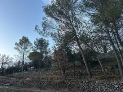 Image du modèle de maison Vue terrain plascassier défriché 14 février 2025 bis