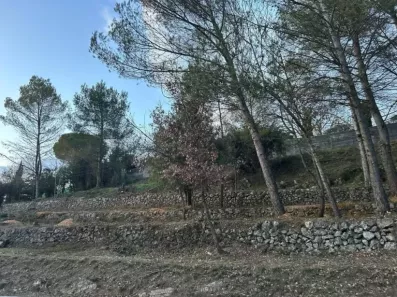 Image du modèle de maison Vue terrain plascassier défriché 14 février 2025
