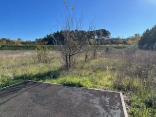Image du modèle de maison 3814792539592489726
