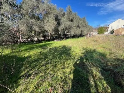 Image du modèle de maison Le plan de Grasse 4