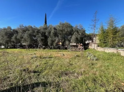 Image du modèle de maison Le plan de Grasse 1