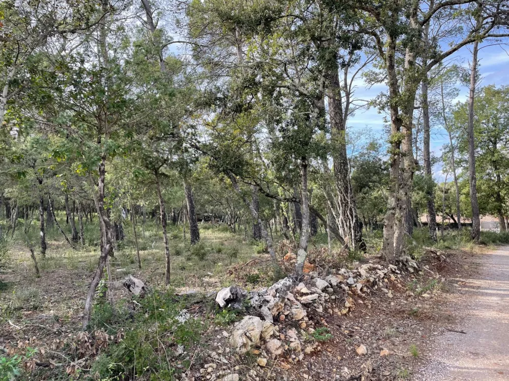 Image du modèle de maison Photo - LES TERRES DE PRE LONG - Le Thoronet (2)