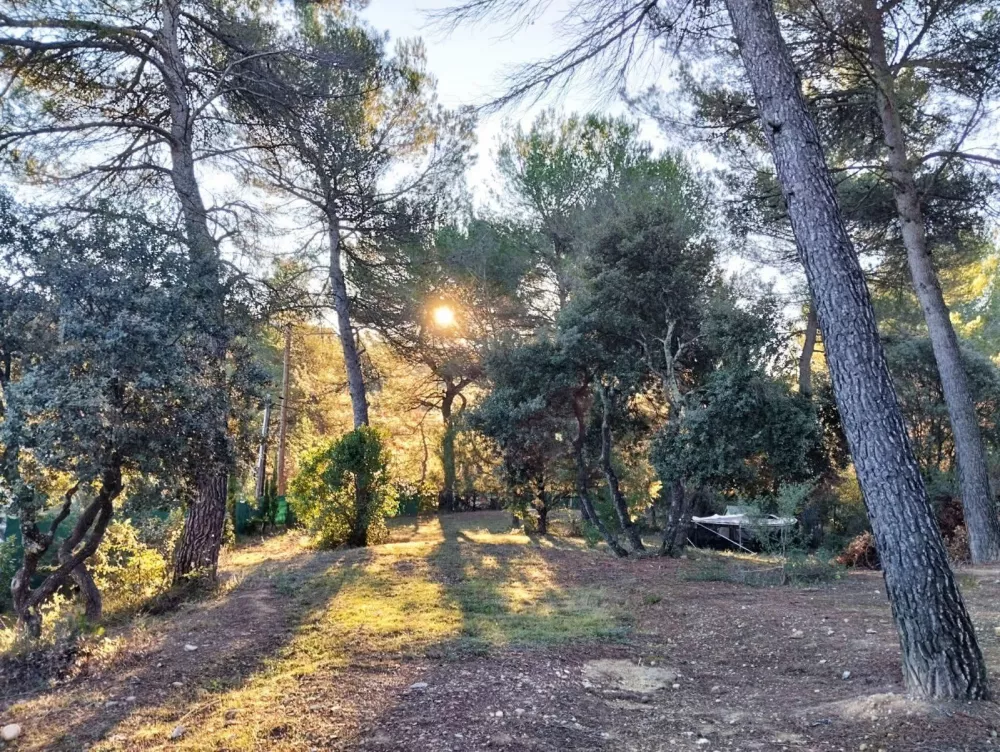 Image du modèle de maison IMG-20250407-WA0002