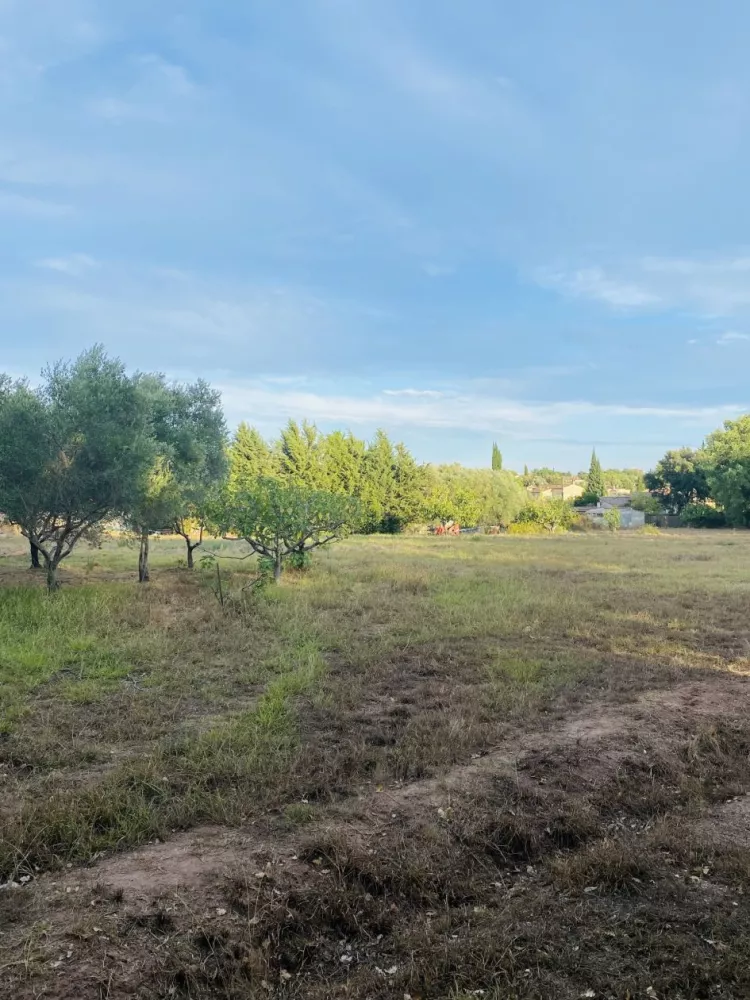 Image du terrain Terrain à bâtir de 610 m² à PUGET-SUR-ARGENS (83)