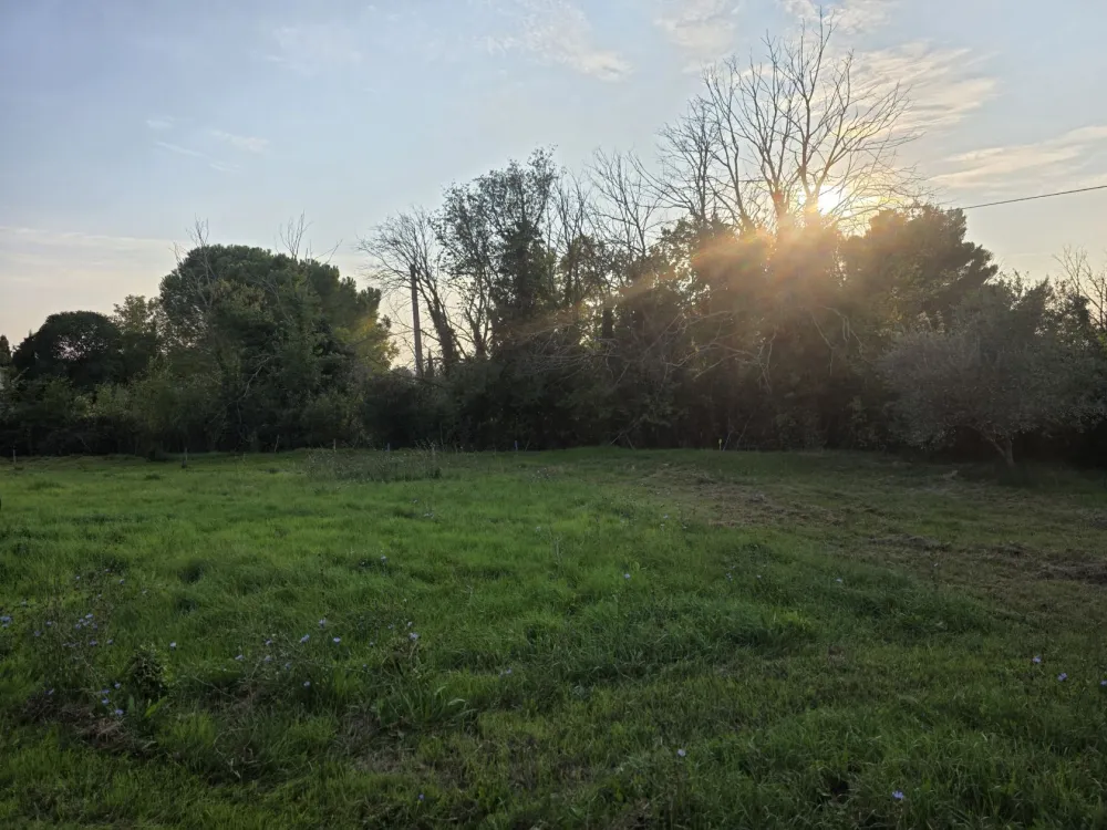 Image du modèle de maison 1000003908
