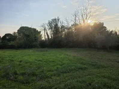Image du modèle de maison 1000003908