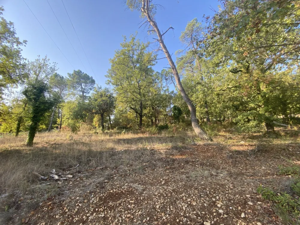 Image du modèle de maison 10