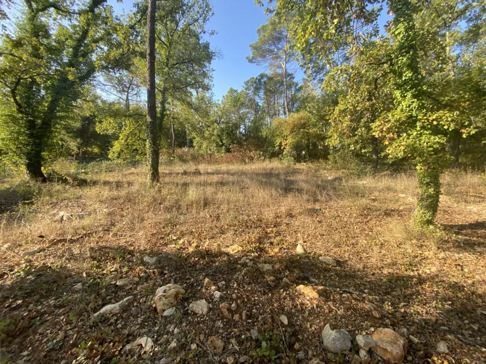 Image du modèle de maison 9