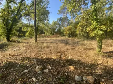 Image du modèle de maison 9