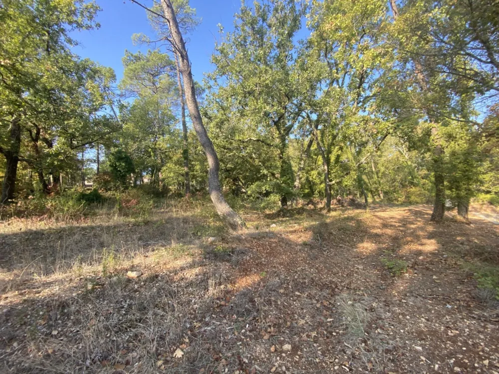 Image du modèle de maison 11