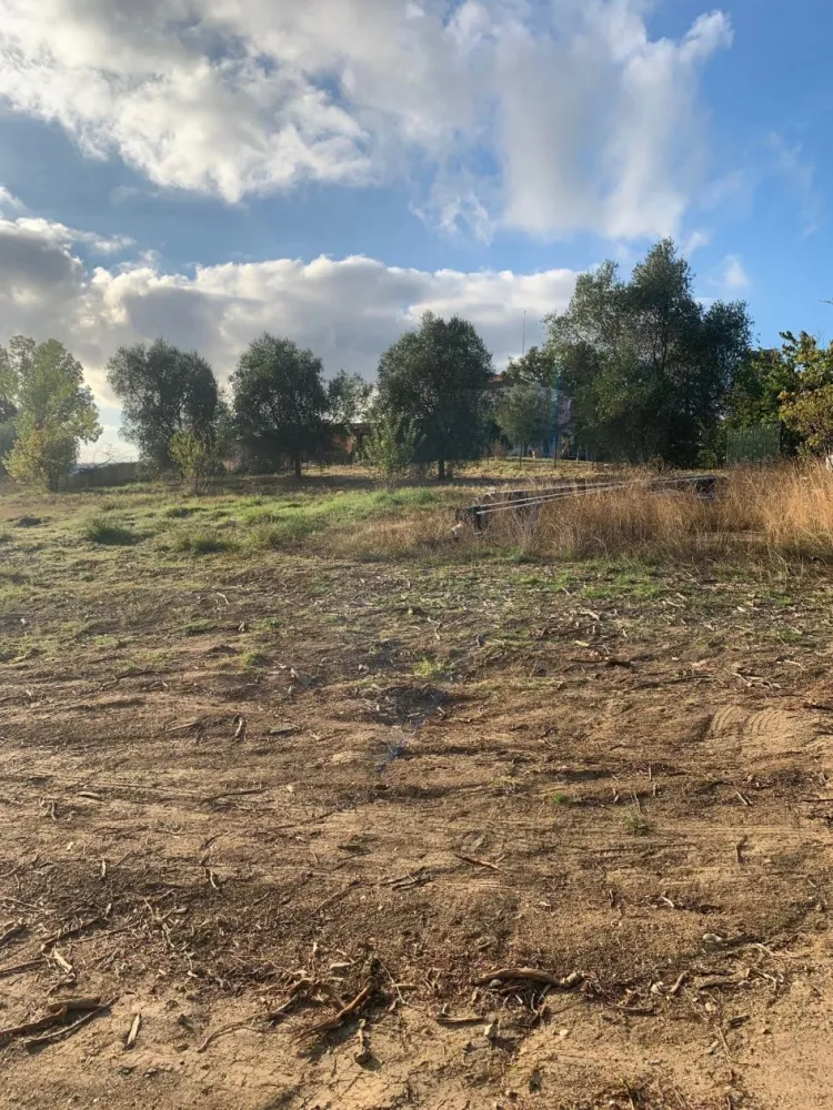 Image du modèle de maison PHOTO