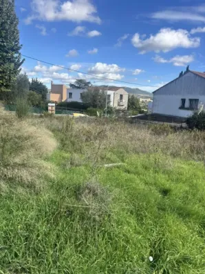 Image du modèle de maison IMG_9801