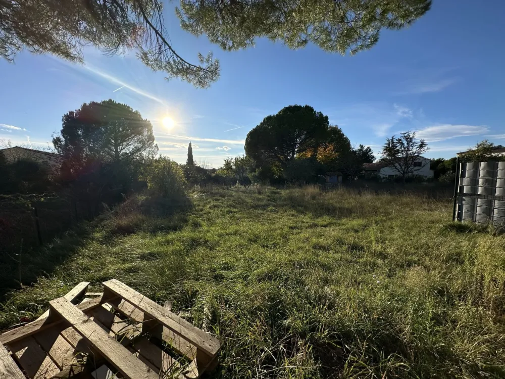 Image du modèle de maison IMG_3158