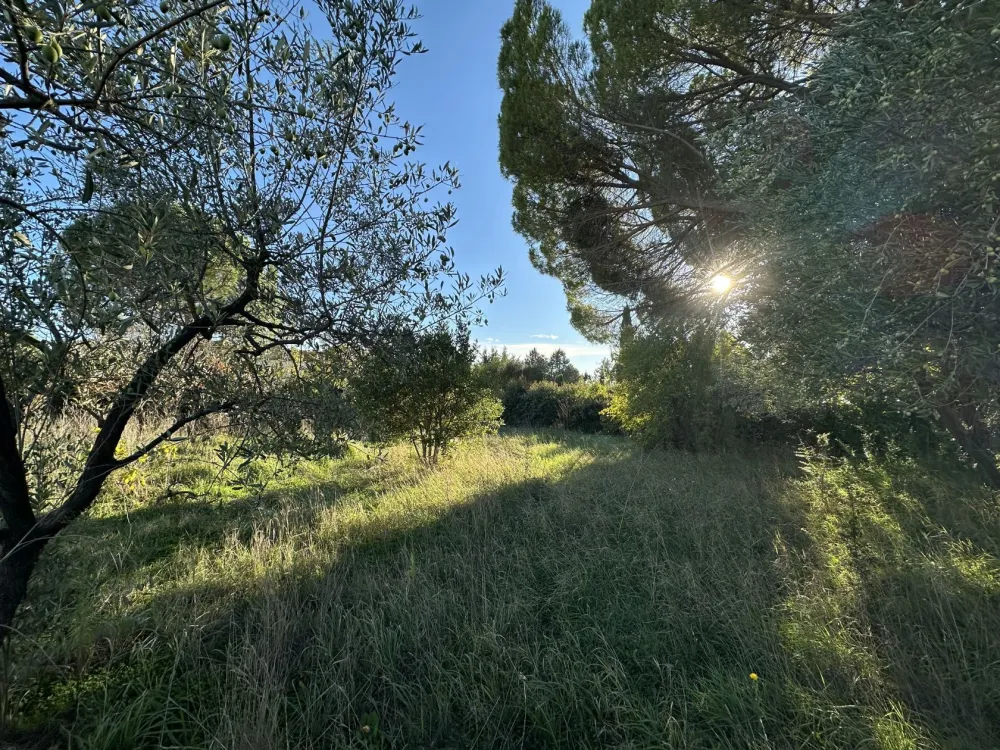 Image du modèle de maison IMG_3151