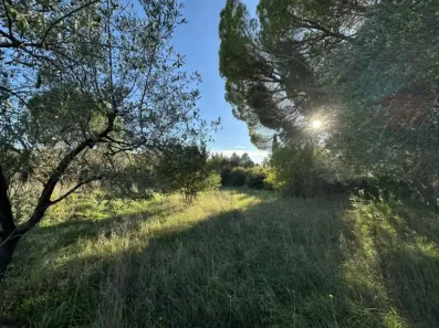 Image du modèle de maison IMG_3151