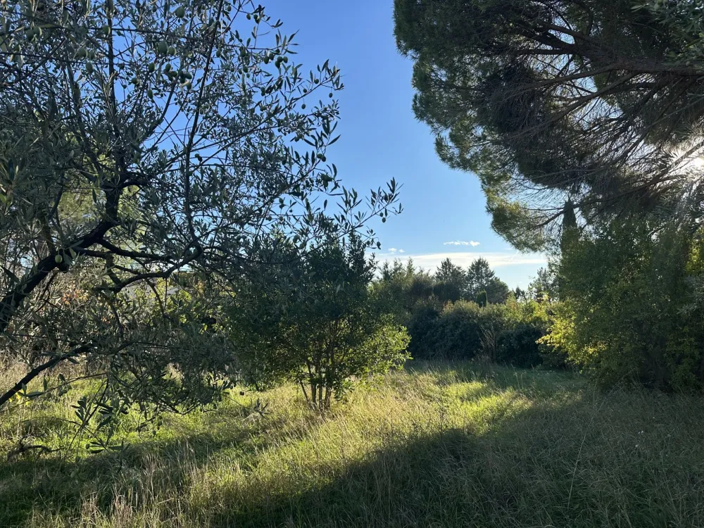 Image du modèle de maison IMG_3150