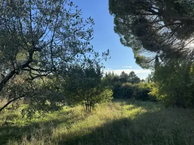 Image du modèle de maison IMG_3150