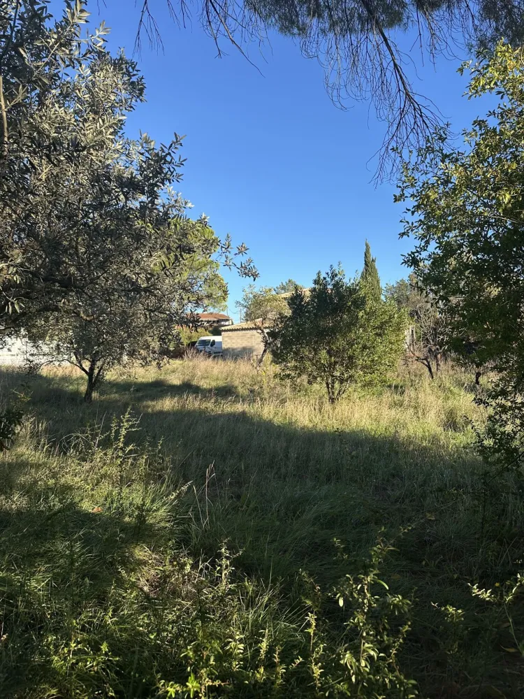 Image du modèle de maison IMG_3149