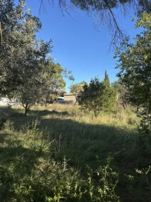 Image du modèle de maison IMG_3149