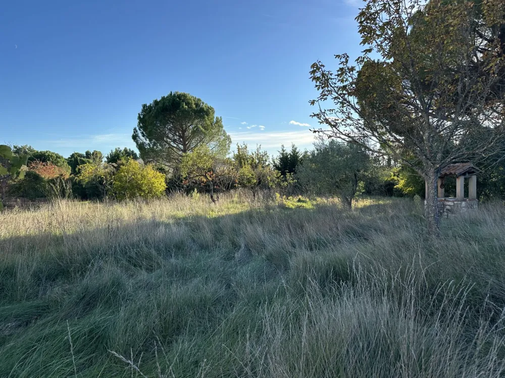 Image du modèle de maison IMG_3153