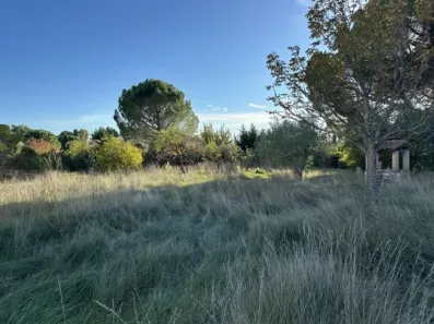 Image du modèle de maison IMG_3153