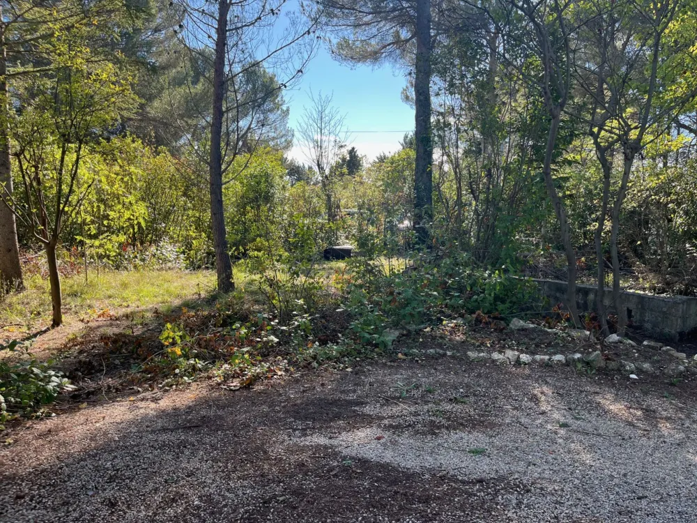 Image du modèle de maison IMG_4801