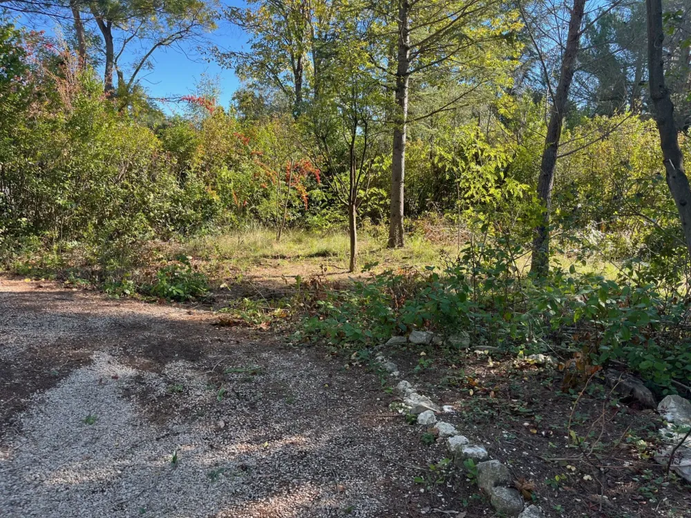 Image du modèle de maison IMG_4803