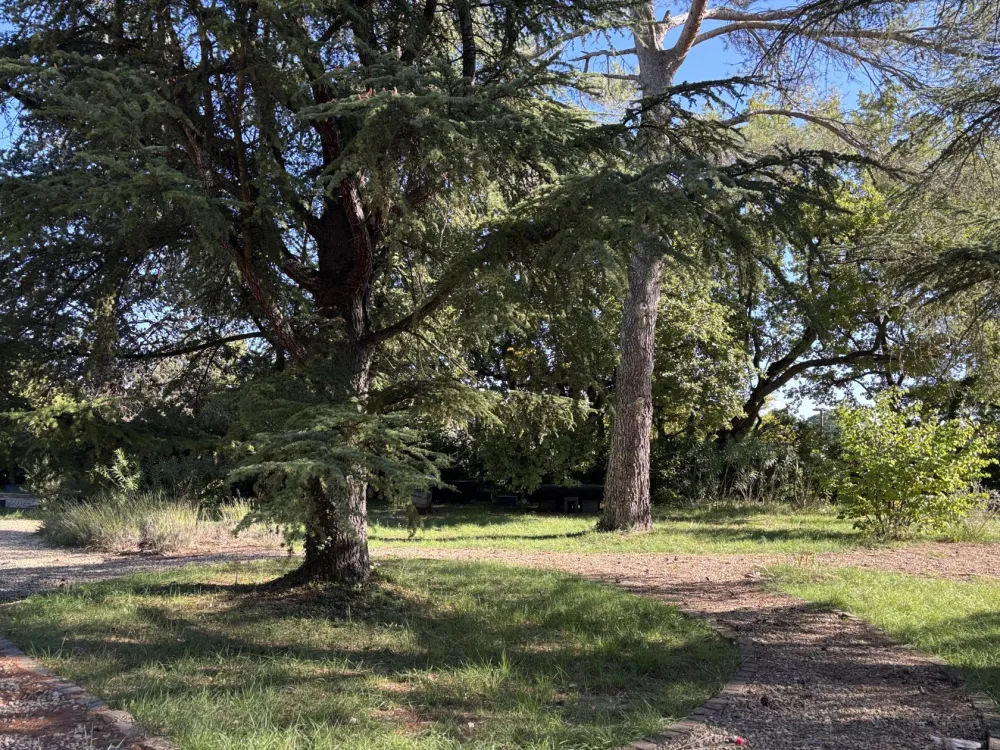 Image du modèle de maison IMG_5577