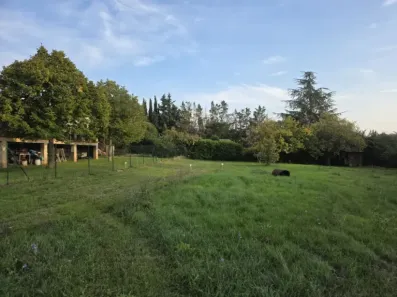 Image du modèle de maison 1000003905