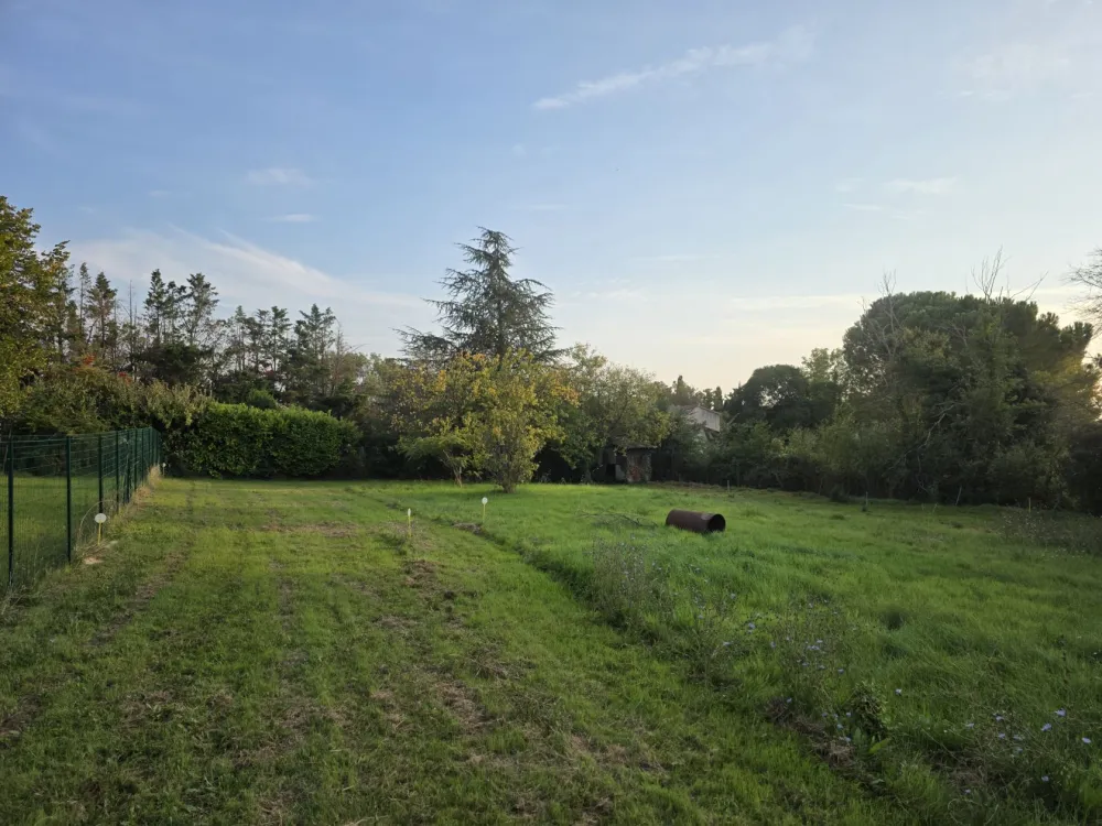 Image du modèle de maison 1000003907