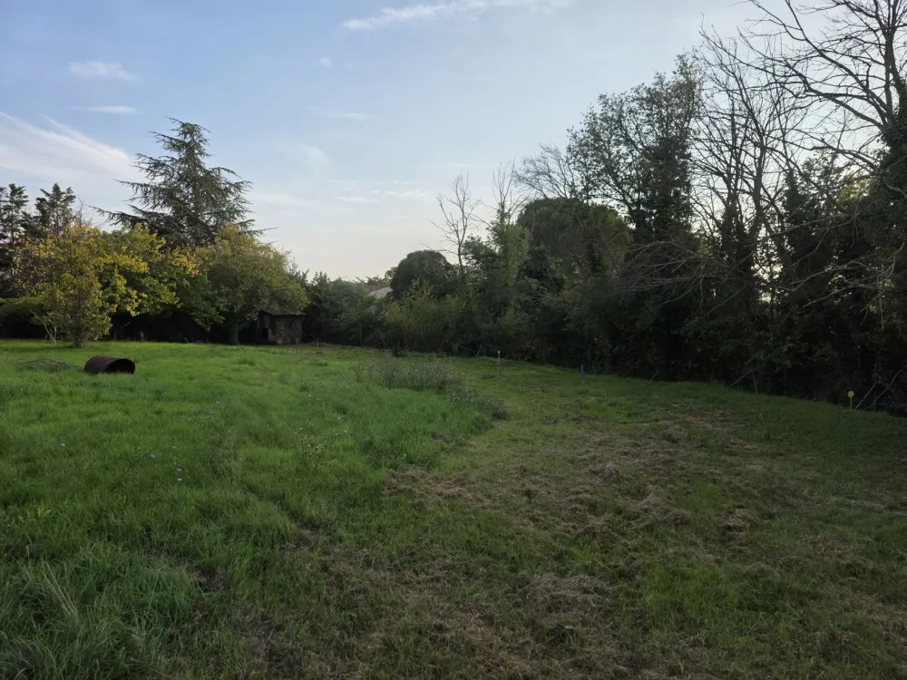 Image du modèle de maison 1000003904