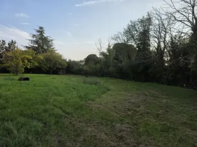 Image du modèle de maison 1000003904