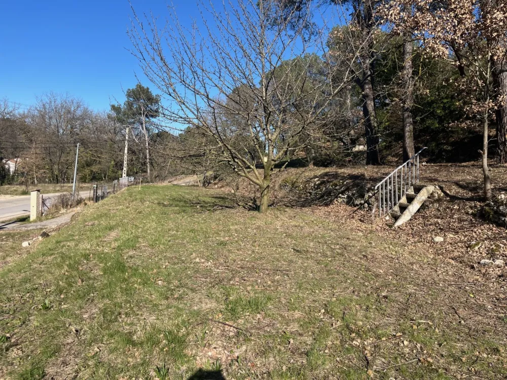 Image du modèle de maison IMG_3737