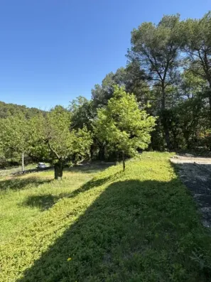 Image du modèle de maison IMG_1982