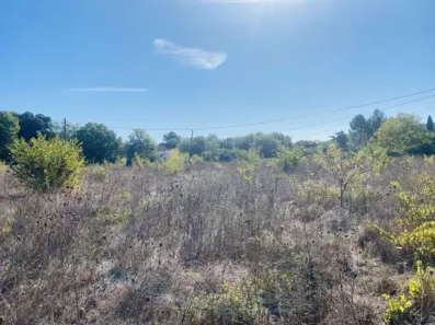 Image du modèle de maison 1