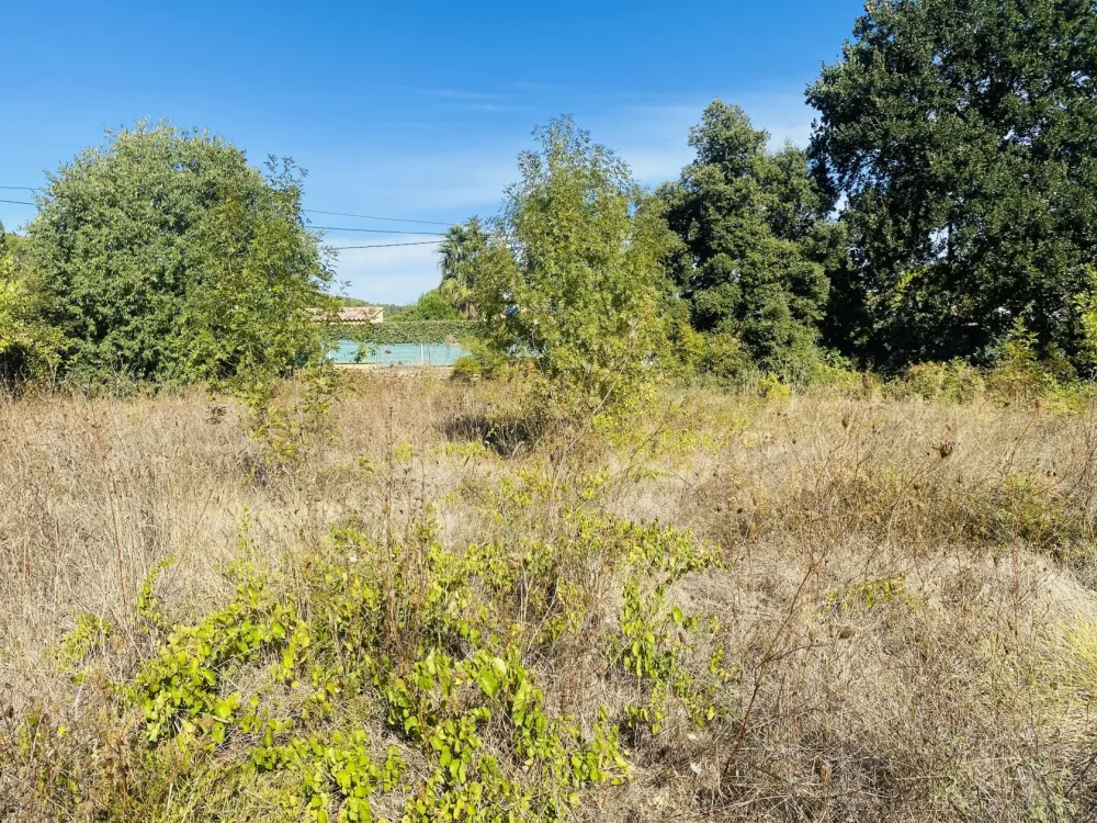 Image du modèle de maison 3