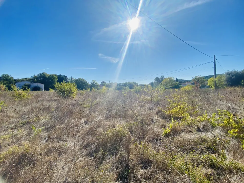 Image du modèle de maison 4