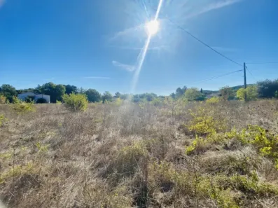 Image du modèle de maison 4