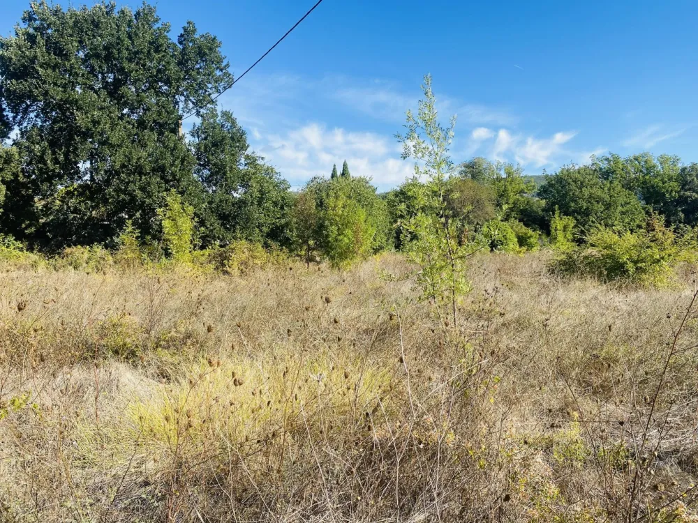 Image du modèle de maison 5