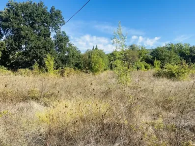 Image du modèle de maison 5