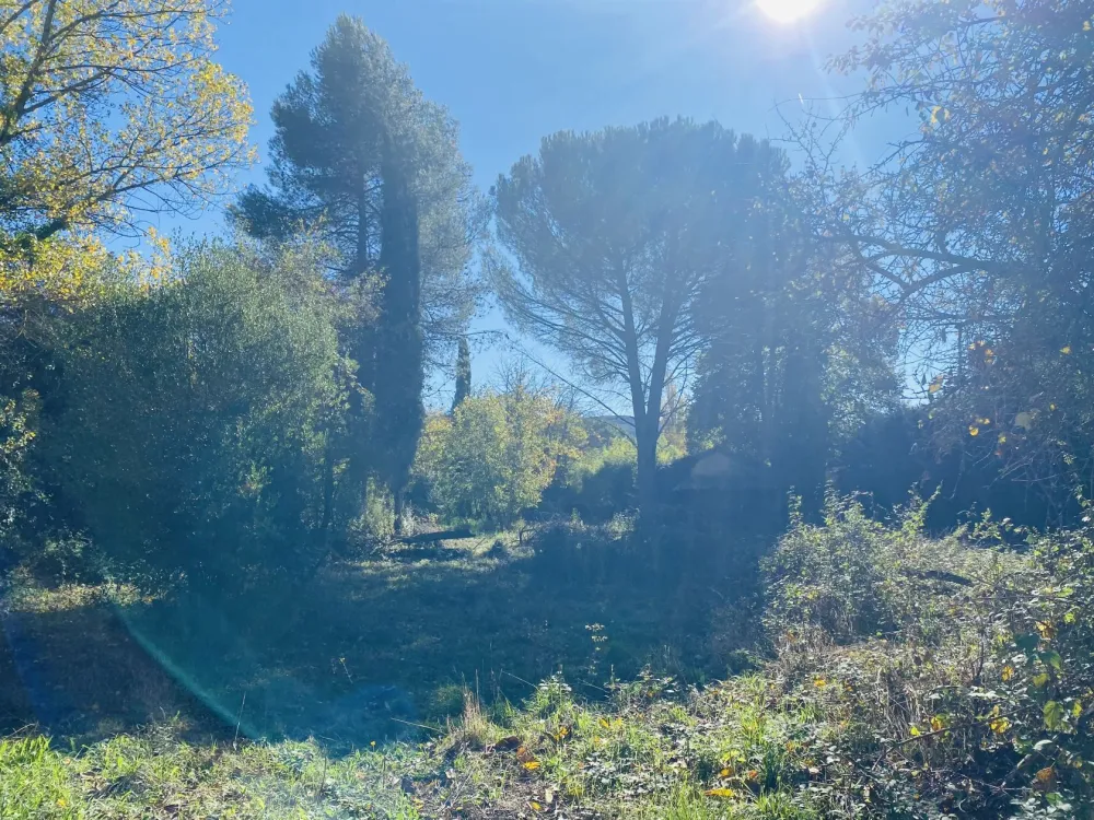 Image du terrain Terrain à bâtir de 1484 m² à TOURVES (83)