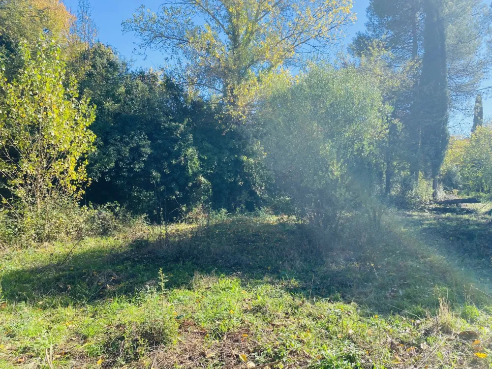 Image du modèle de maison IMG_0895