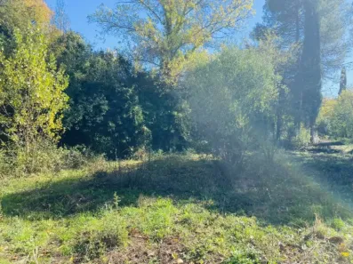 Image du modèle de maison IMG_0895