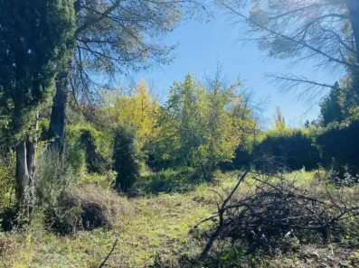 Image du modèle de maison IMG_0896