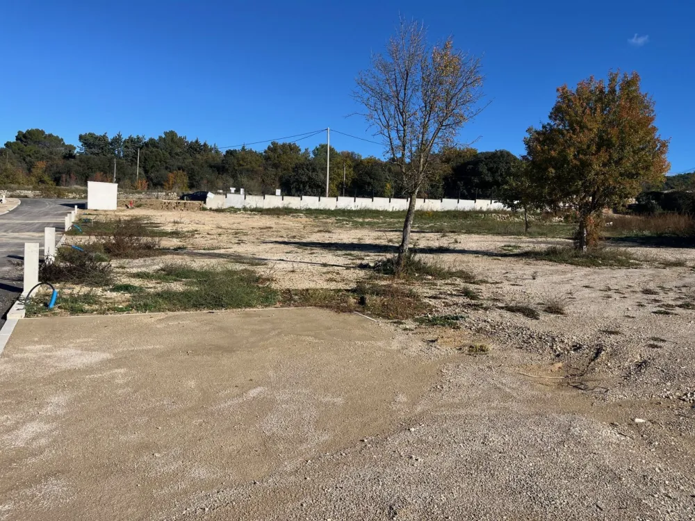 Image du modèle de maison IMG_4883