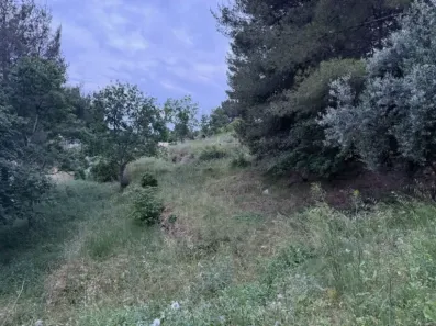 Image du modèle de maison IMG_3881